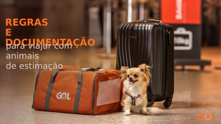 Regras e documentação para viajar com animais de estimação - Pet Viajante