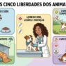 5 direitos fundamentais dos animais - Pet Viajante