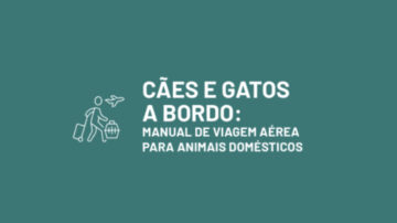 Manual de transporte aéreo para pet - Pet Viajante