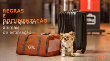 Regras e documentação para viajar com animais de estimação - Pet Viajante