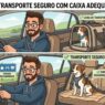 Viagem com pet de carro: guia prático para uma viagem segura e tranquila - Pet Viajante